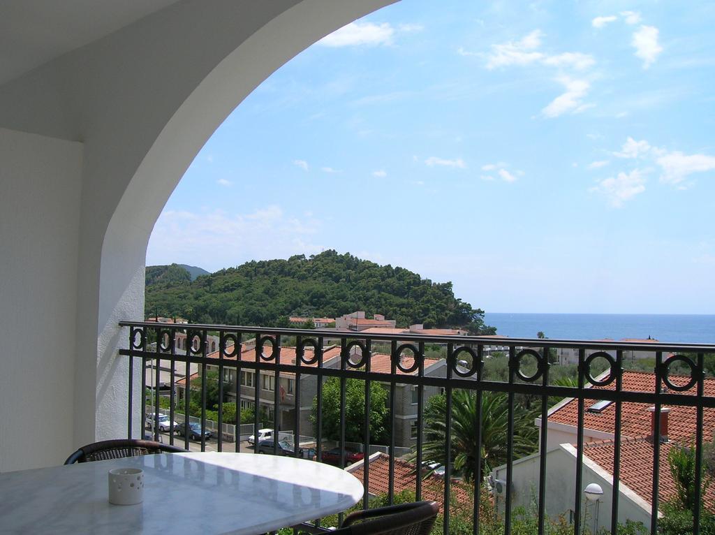Villa Mila Petrovac 객실 사진