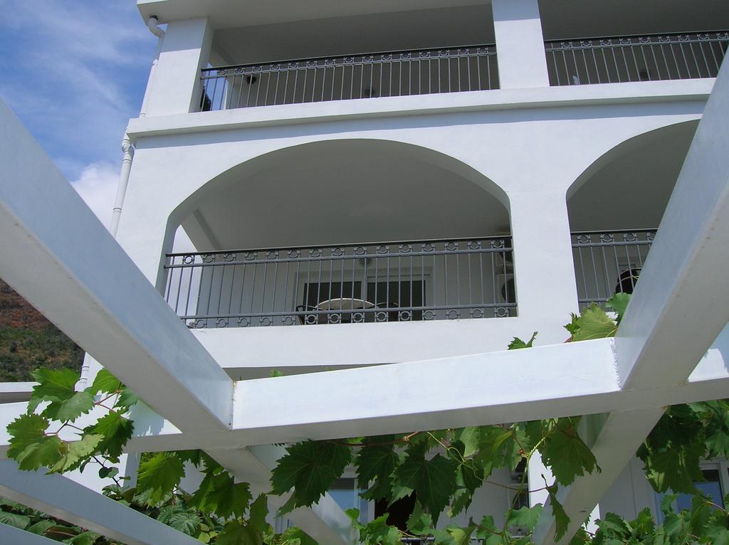 Villa Mila Petrovac 객실 사진